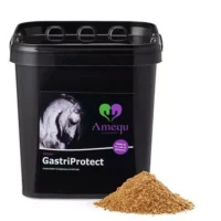 Dangro Amequ GastriProtect 3 kg