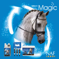 NAF Magic
