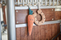 HG Carrot Stald legetøj Orange