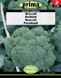PRIMA Broccoli, Groene Calabrese