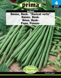PRIMA Bønne, Busk- , "Harrico verts" Delinel 