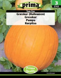 PRIMA Græskar "Halloween", Tom Fox