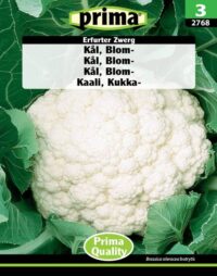 PRIMA Kål, Blom-, Erfurter Zwerg 