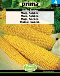 PRIMA Majs, Golden Bantam