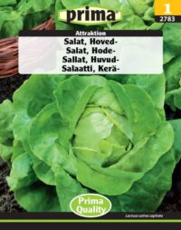 PRIMA  Salat, Hoved-, Attractice