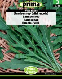 PRIMA  Sandsennep "vild rucola" Wilde Rauke