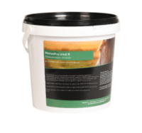 NAG HorsePro Vital B 1 kg