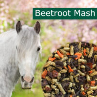 NAG Horsepro Beetroot Mash 20 kg