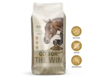 Dangro Amequ GO' For The Win 15 kg