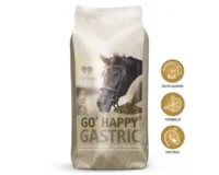 Dangro Amequ GO' Happy Gastric 15 kg
