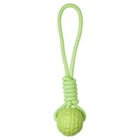 Companion Aqua Ball on Rope 32 cm