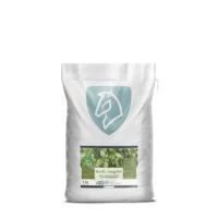 Nordic Jiaogulan 1 kg