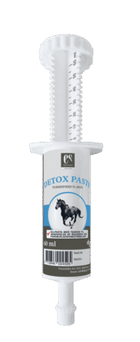 Equsana Detox Paste 60 ml