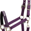 HorseGuard Malva grime - Purple