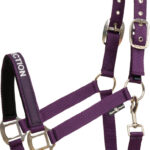 HorseGuard Malva grime - Purple