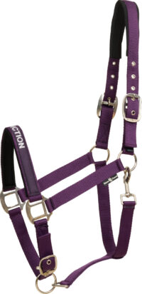 HorseGuard Malva grime - Purple