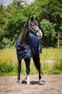 HorseGuard Landon200Navy produktfoto