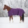 HorseGuard Landon200Purple produktfoto