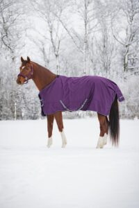 HorseGuard Landon200Purple produktfoto