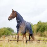 HorseGuard Millan Navy med aftagelig hals foto 1