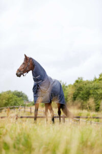 HorseGuard Millan Navy med aftagelig hals foto 2