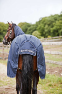 HorseGuard Millan Navy med aftagelig hals foto 3