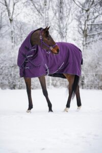 HorseGuard Millan200Purple produktfoto