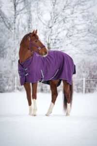 HorseGuard Landon 200g Purple Pennant